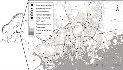 Connectivity, land use, and fish presence influence smooth newt (Lissotriton vulgaris) occurrence and abundance in an urban landscape